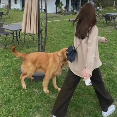 火地狱